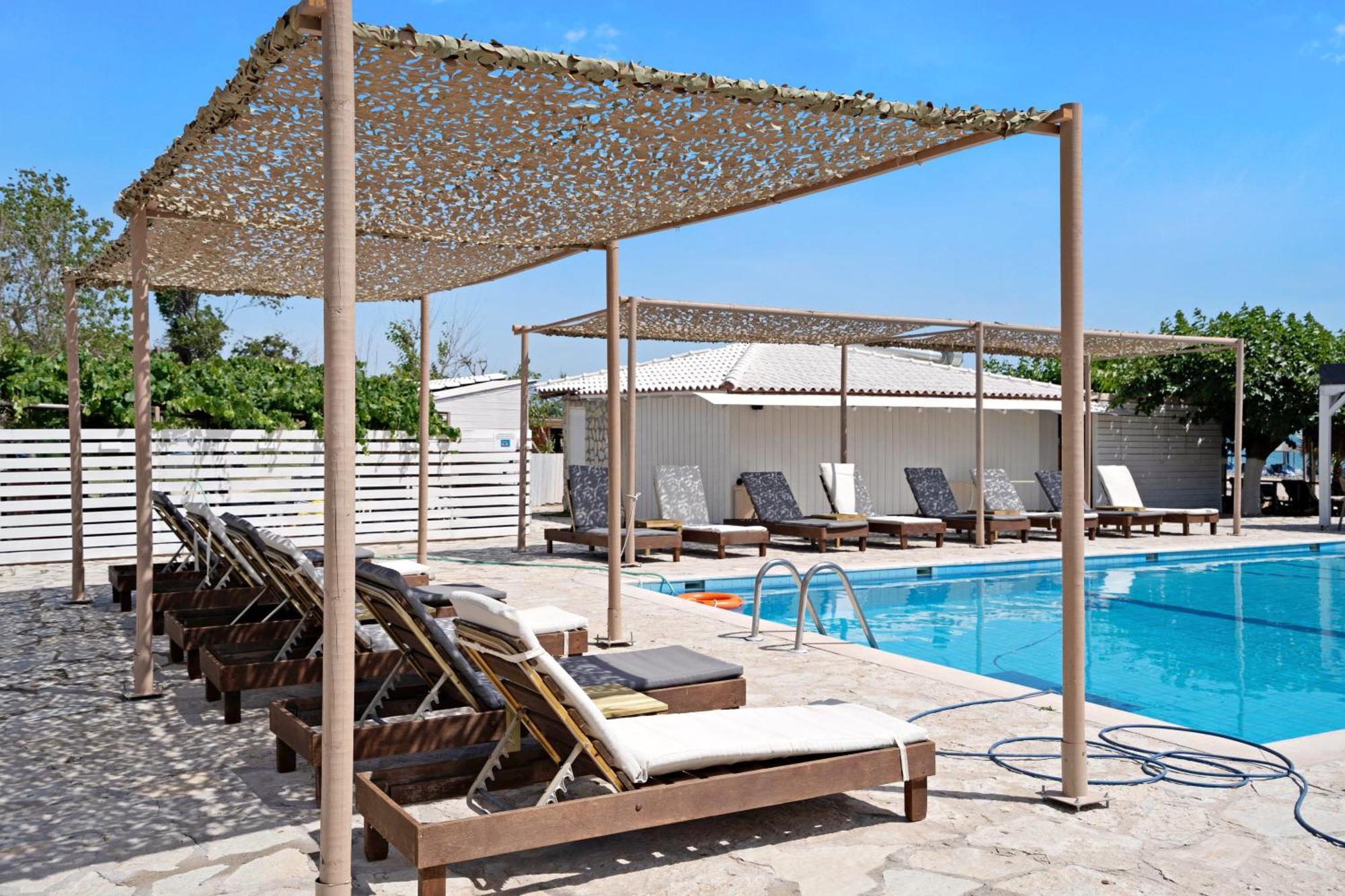Iguana Studio 4 بريفيزا المظهر الخارجي الصورة
