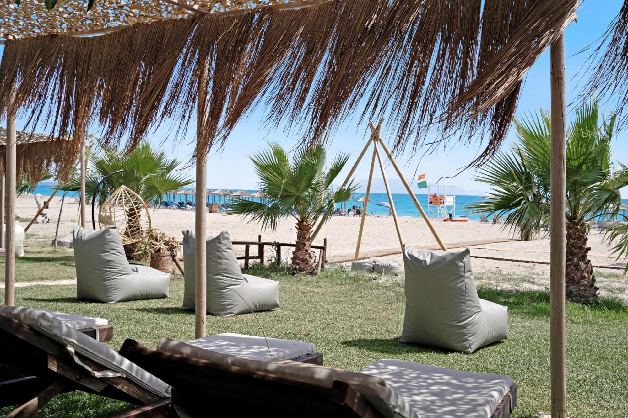 Iguana Studio 4 بريفيزا المظهر الخارجي الصورة